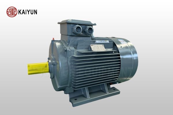 Electric Motor